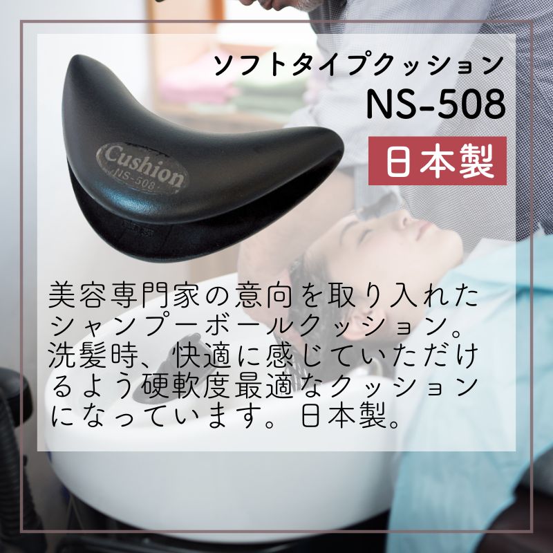 ns508-16.jpg